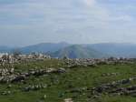 IMG_8628.JPG